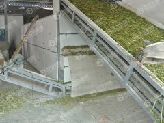 小麥秸稈烘干現場