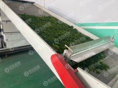 網帶式海苔烘干現場